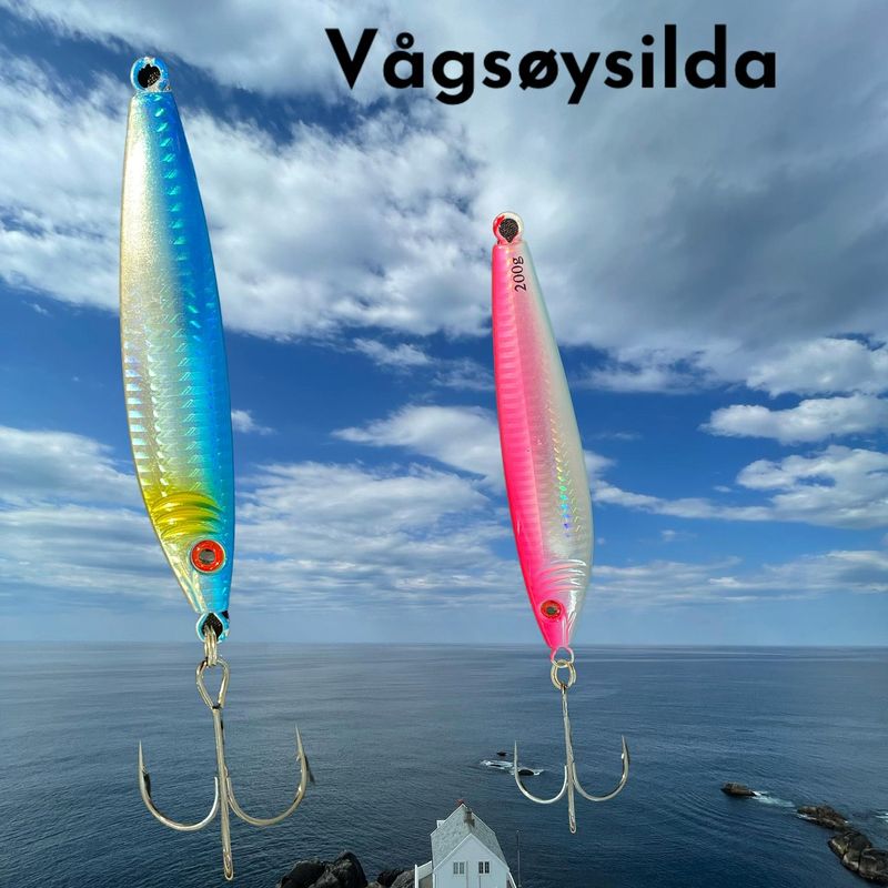 VÅGSØYSILDA